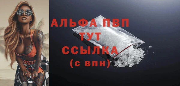 хмурый Бородино