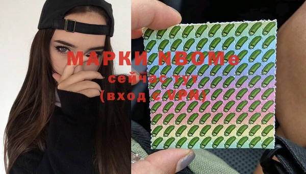 хмурый Бородино