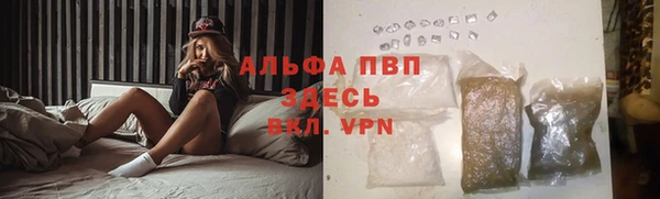 хмурый Бородино