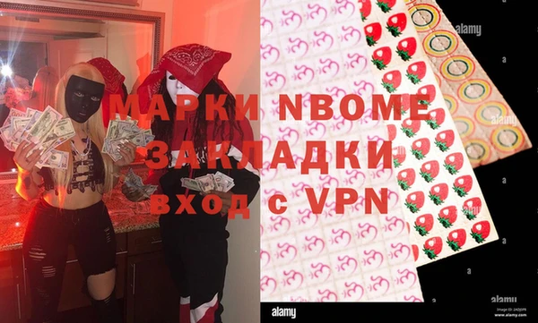 хмурый Бородино