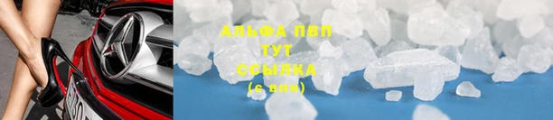 хмурый Бородино