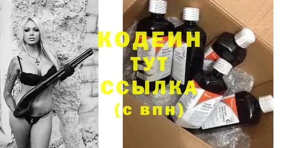 хмурый Бородино